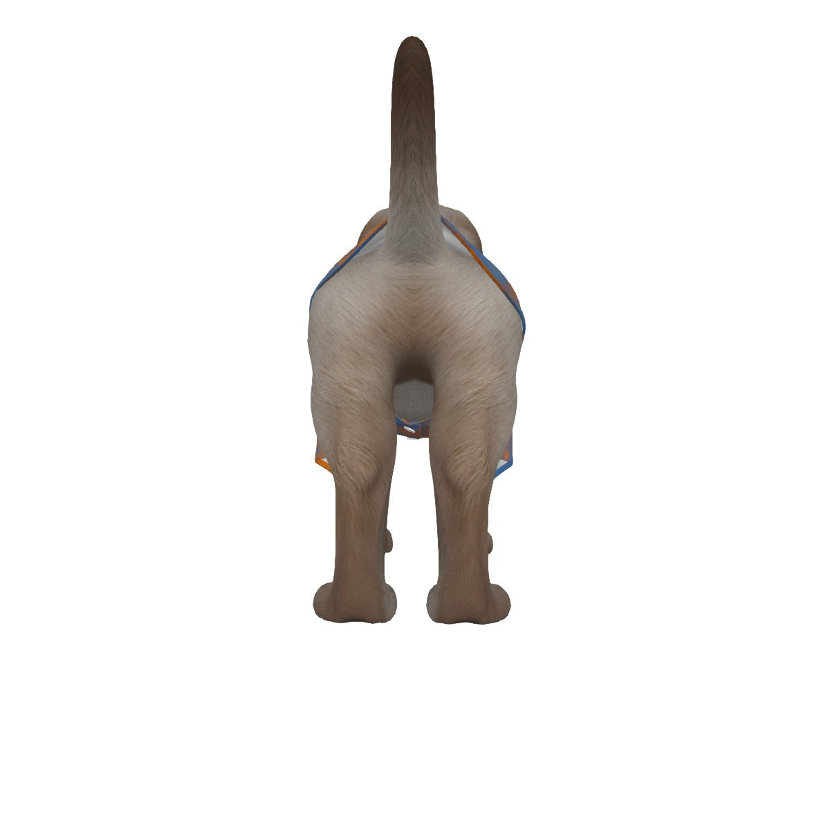 Unisex Pet‘s Hawaiian Shirt