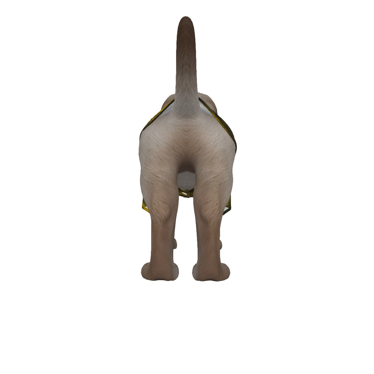 Unisex Pet‘s Hawaiian Shirt