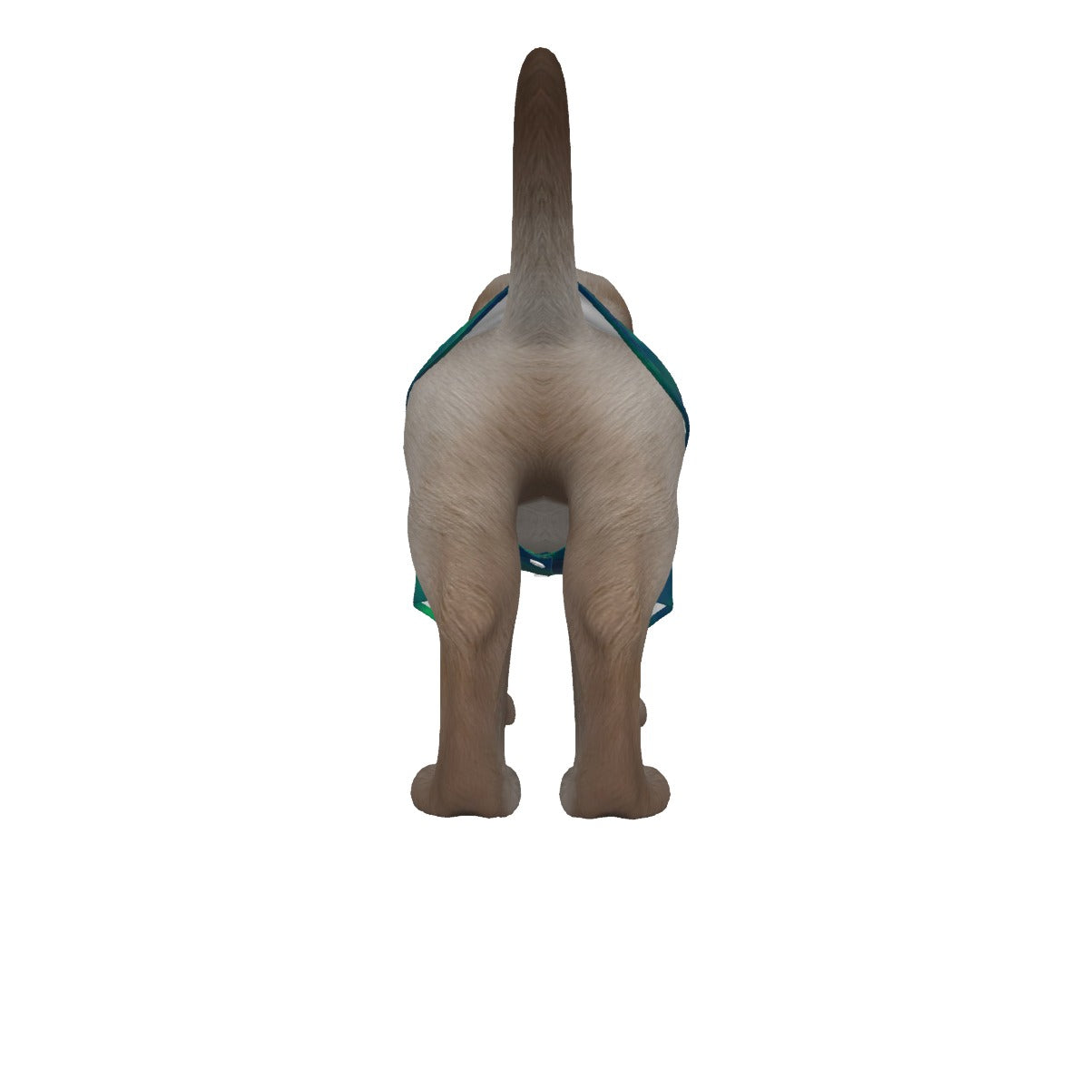 Unisex Pet‘s Hawaiian Shirt