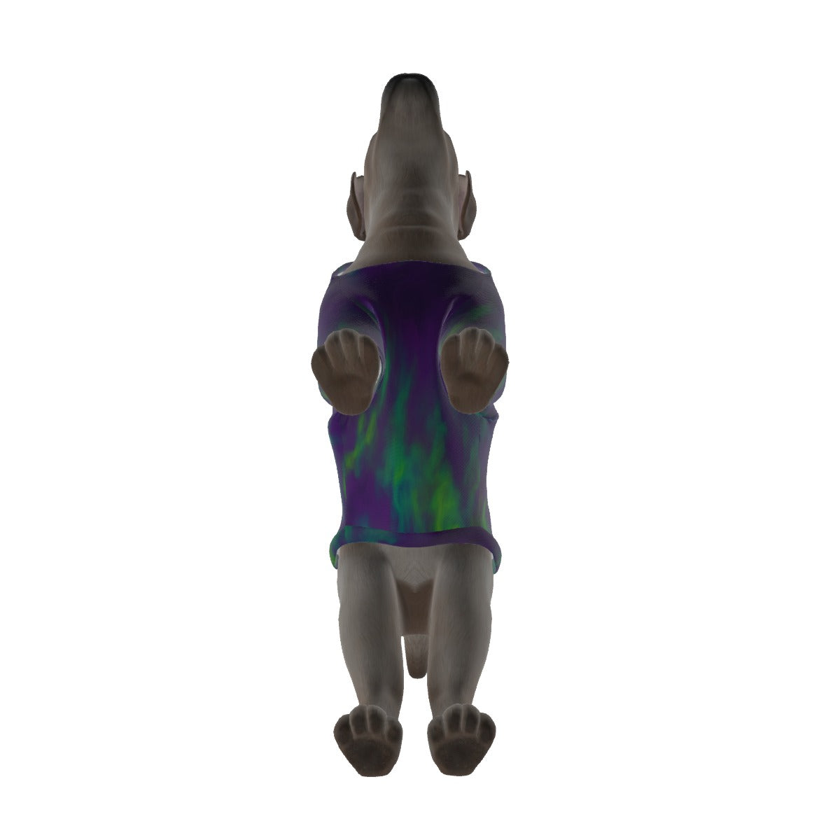 Unisex Pullover Hoodie