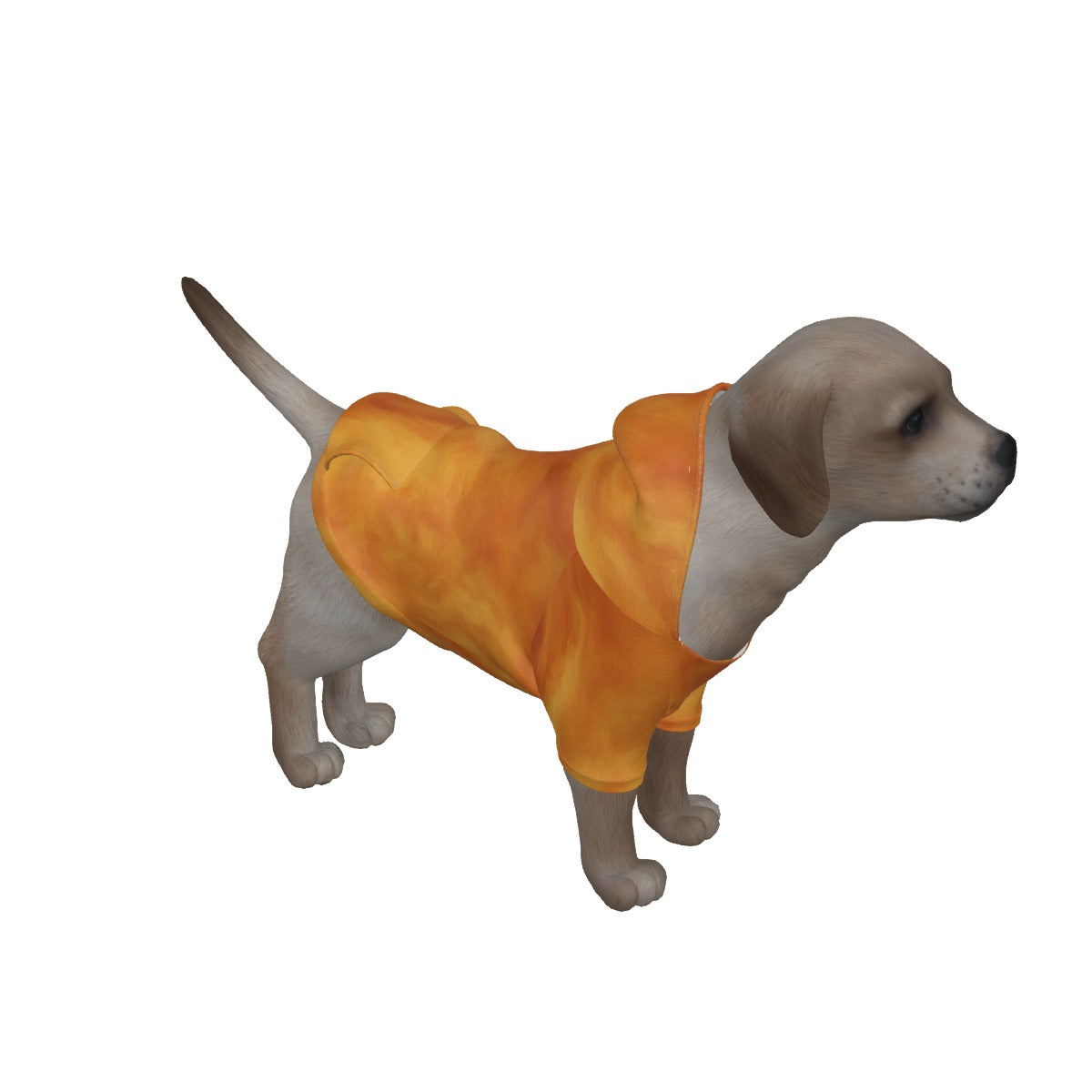 Unisex Pullover Hoodie